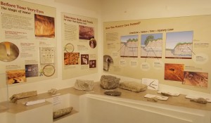FM fossil exhibit 2