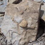 churt embedded in limestone.