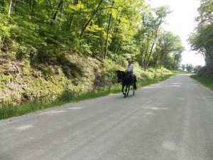 Thought you might enjoy the guy riding the mule down the road. :-)