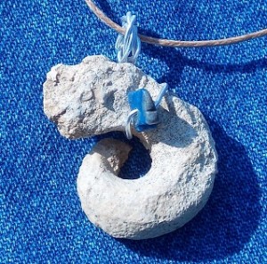 Gastropod  in silver and blue.