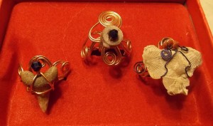 A 3 Fossil Ring Collection.