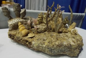 Replica Ordovician Sea Bottom