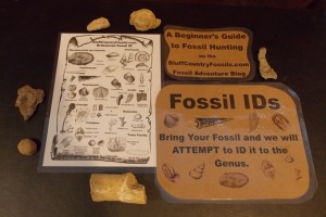 fossil IDs