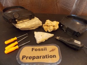 fossil prep