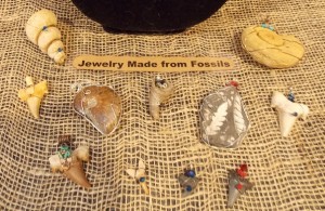 fossils in jewelry bottom