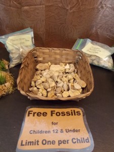 free fossils