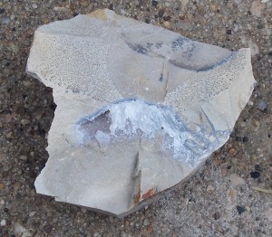 jr shale quartz geode started