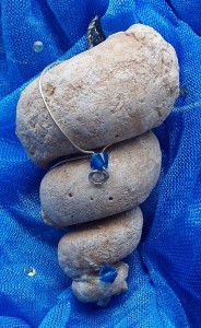 Hormatomas sp. in Silver & Sky Blue Beads.