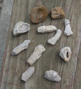 fossils at playground