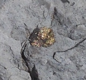 Pyrite in southeast Minnesota