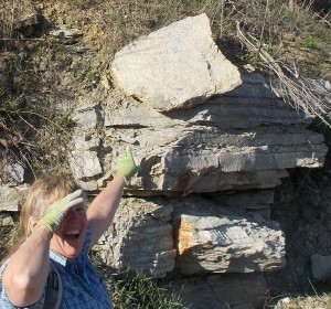 BIG specimen rock