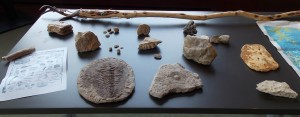 Common fossils plus a Minnesota geode, Drusy quartz and a cold water agate for minerals.
