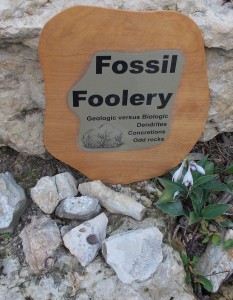 Fossil Foolery - Dendrites, concretions, odd rocks.