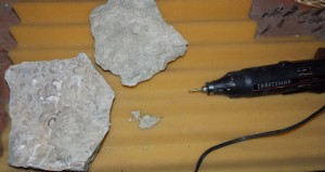 Rotary Tool for preparing fossils.