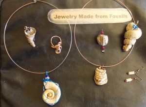 Fossil Jewelry